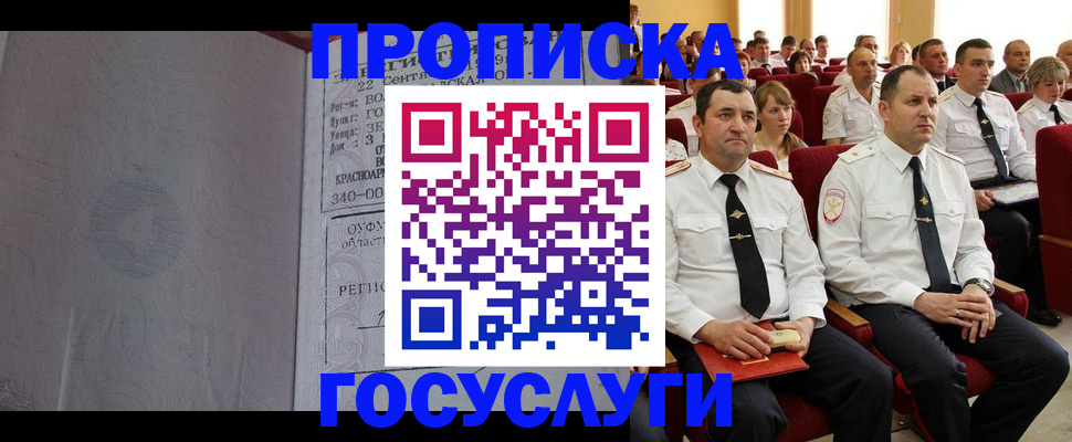 временная прописка в Щёлково